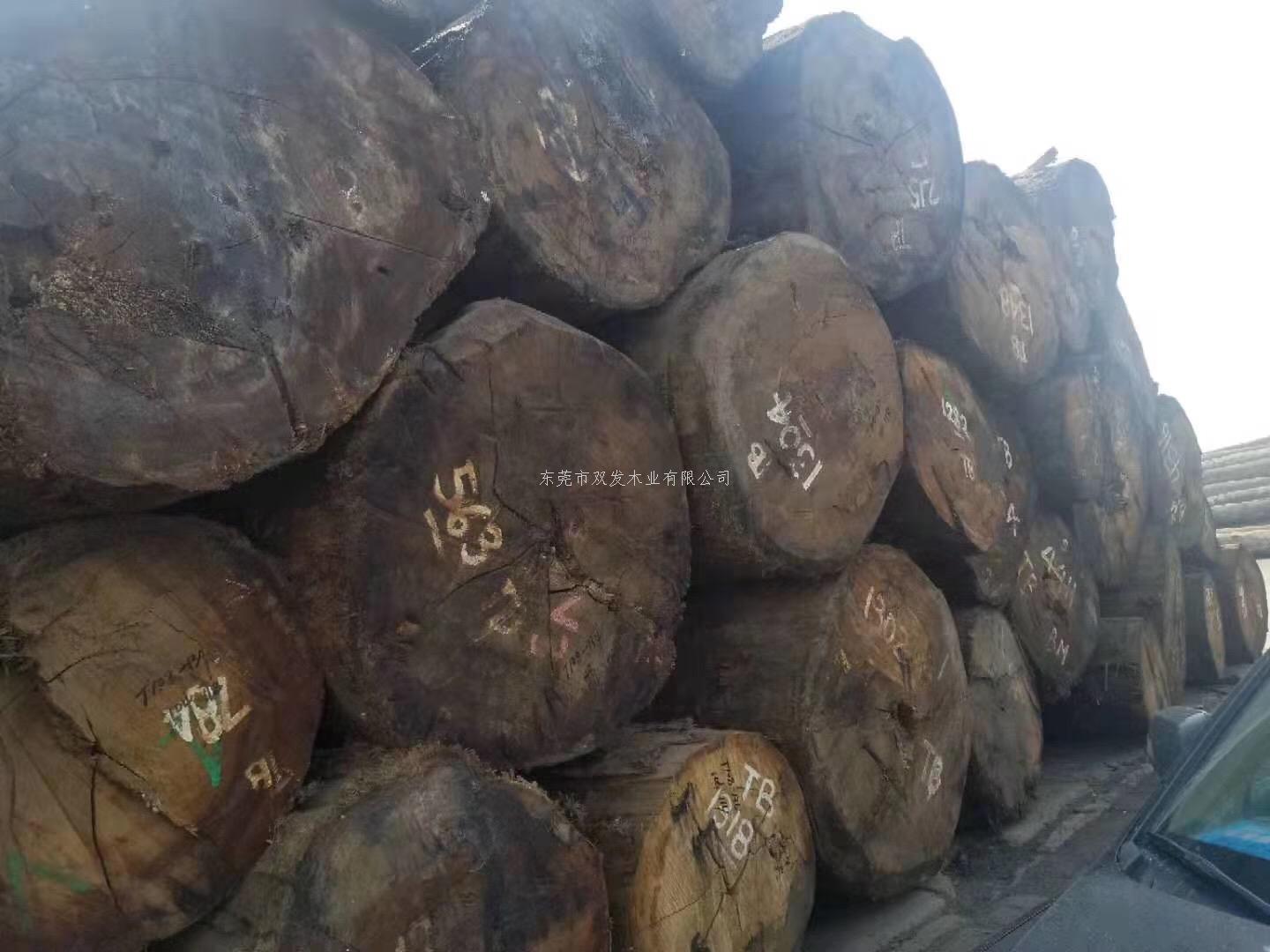 迎7月家具展，雙發(fā)木業(yè)原木加工進行中。。